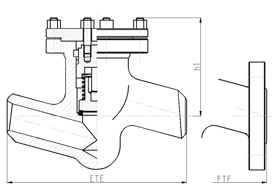 Lift check valve PN250 DN15-125