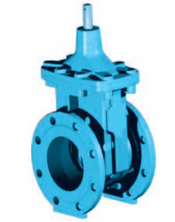 Gate valve of cast iron DN40-300
